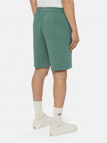 Шорти Dickies Mapleton модель DK0A4Y83H151 Фото