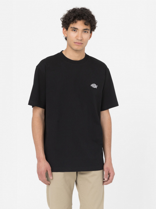 Футболки и поло Dickies Summerdale модель DK0A4YAIBLK1 Фото