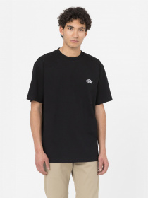 Футболки и поло Dickies Summerdale модель DK0A4YAIBLK1 Фото