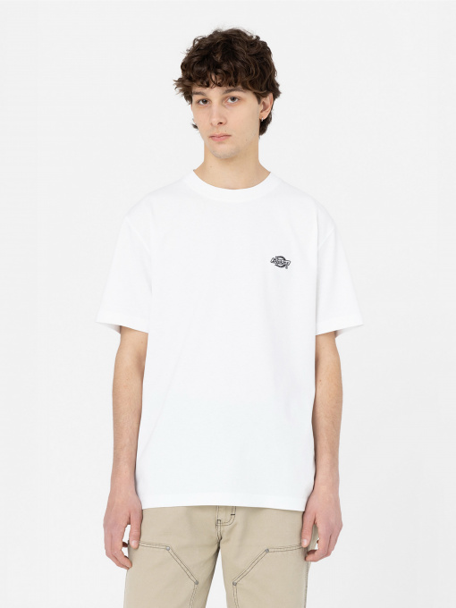 Футболки и поло Dickies Summerdale модель DK0A4YAIWHX1 Фото