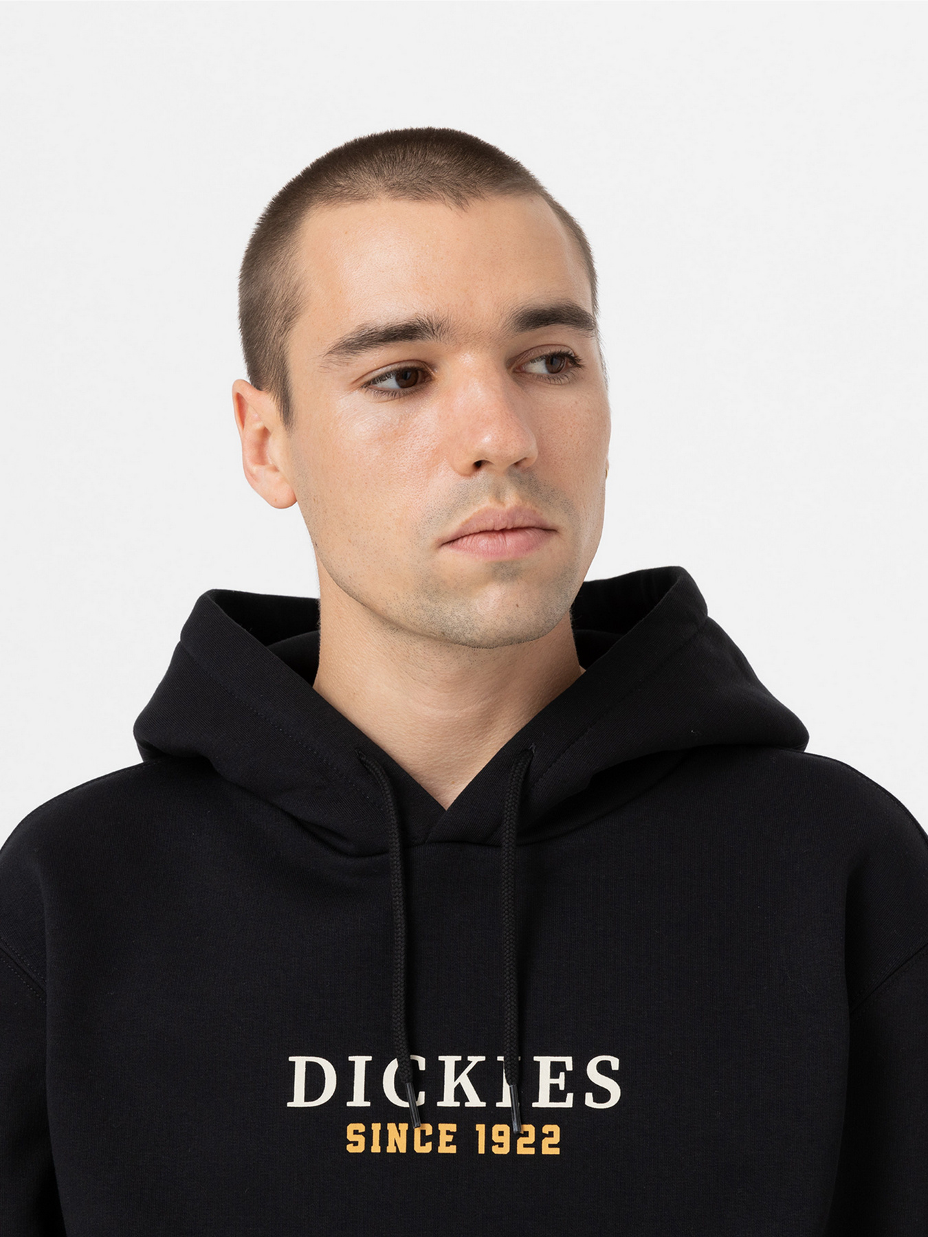 Худи и свитшоты Dickies Park модель DK0A4YEHBLK1 Фото