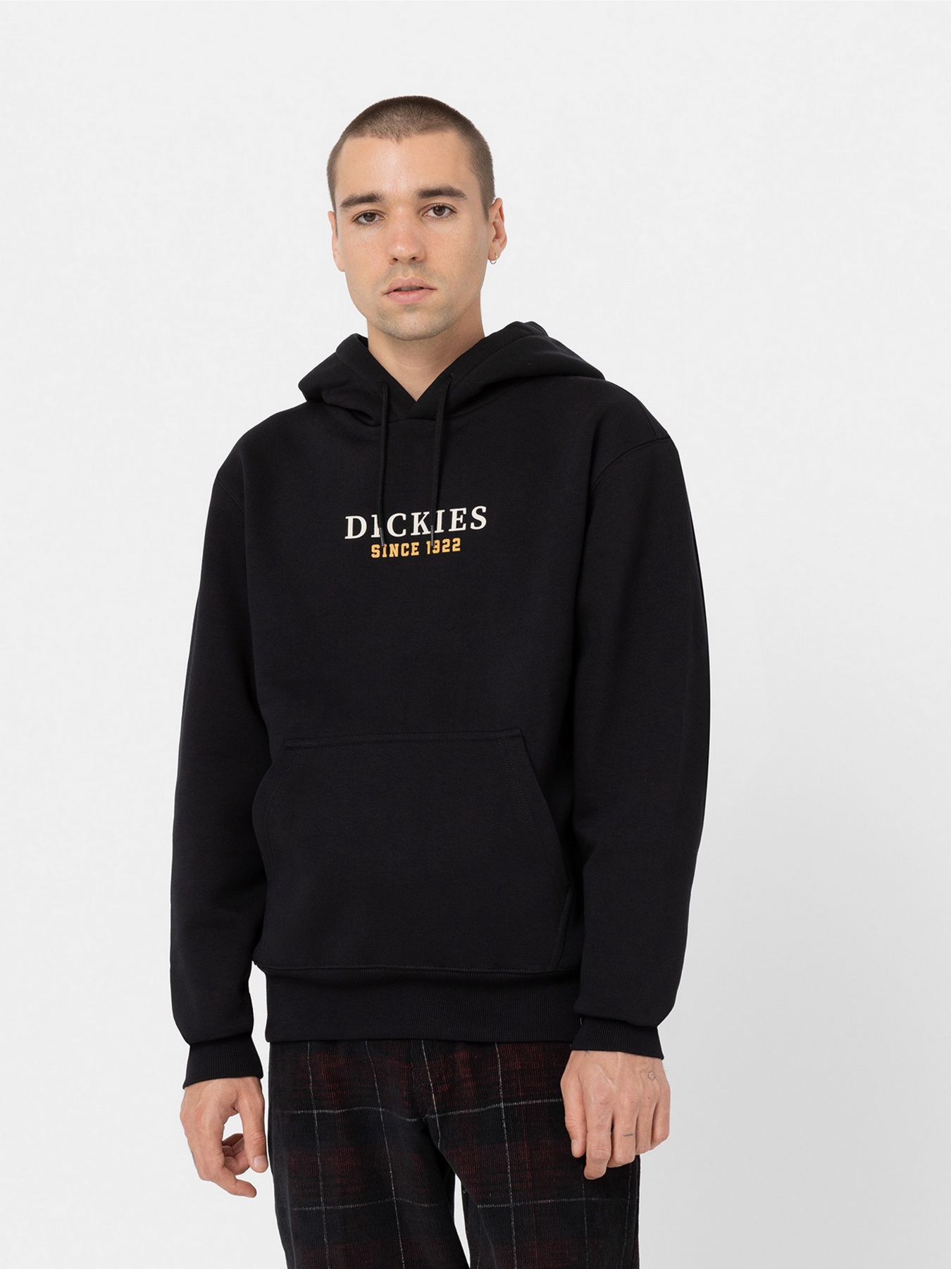 Худи и свитшоты Dickies Park модель DK0A4YEHBLK1 Фото