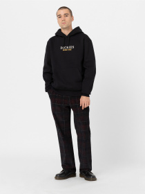 Худи и свитшоты Dickies Park модель DK0A4YEHBLK1 Фото