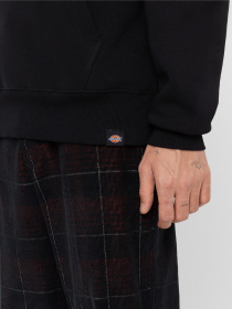 Худи и свитшоты Dickies Park модель DK0A4YEHBLK1 Фото