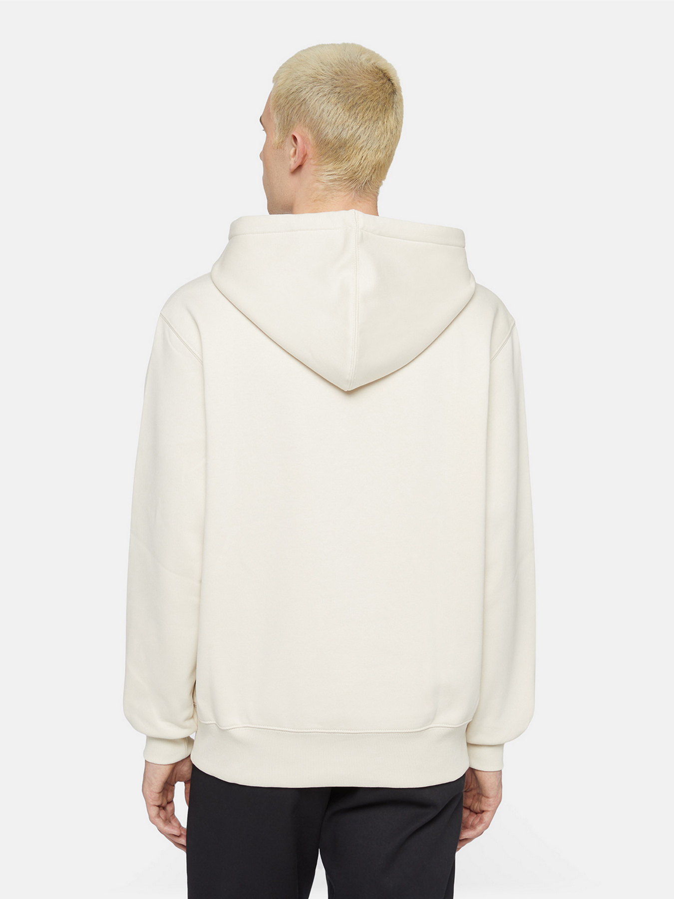 Худи и свитшоты Dickies Park модель DK0A4YEHF901 Фото