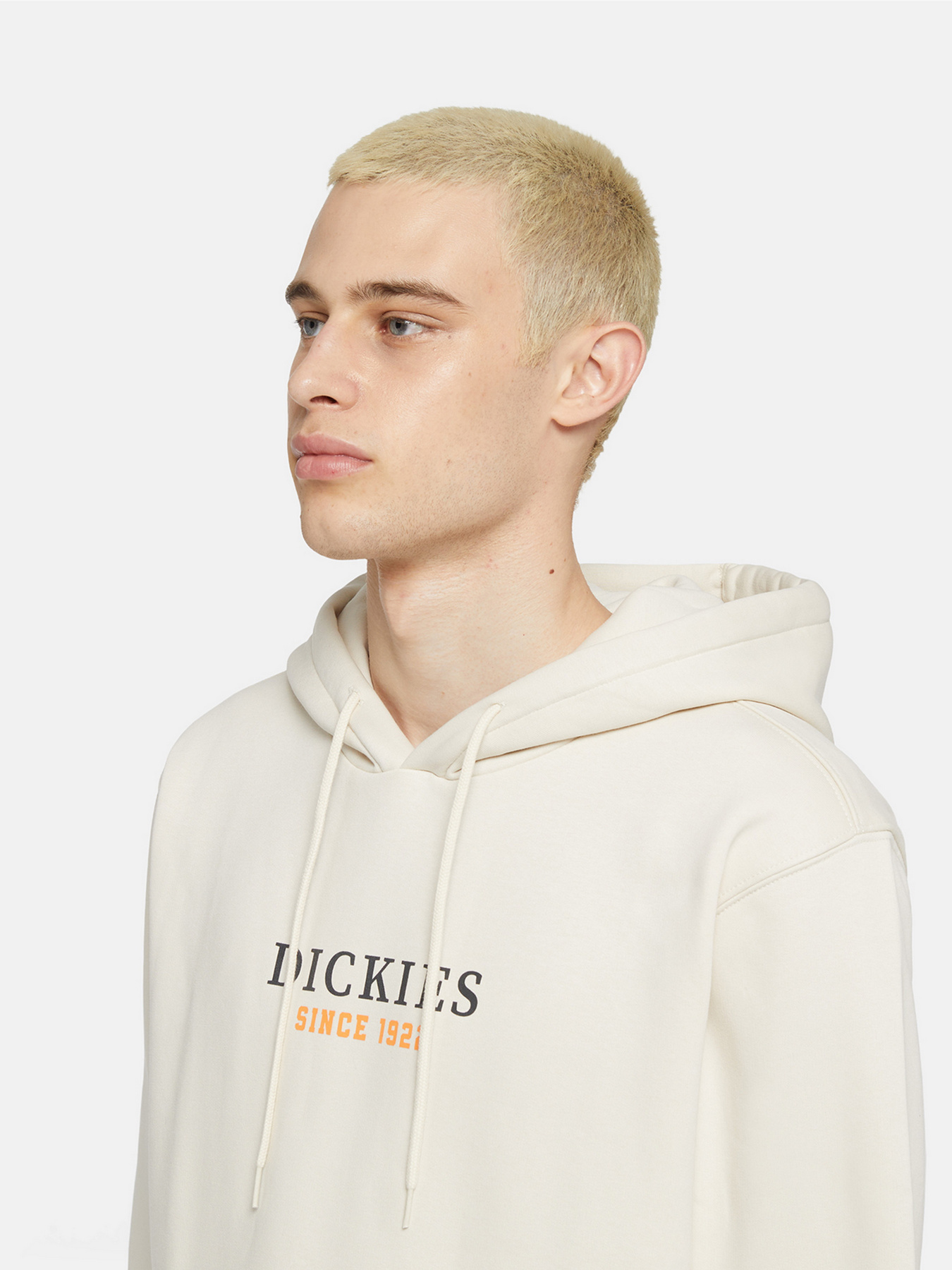 Худи и свитшоты Dickies Park модель DK0A4YEHF901 Фото