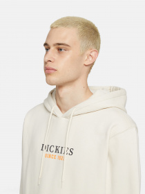 Худи и свитшоты Dickies Park модель DK0A4YEHF901 Фото