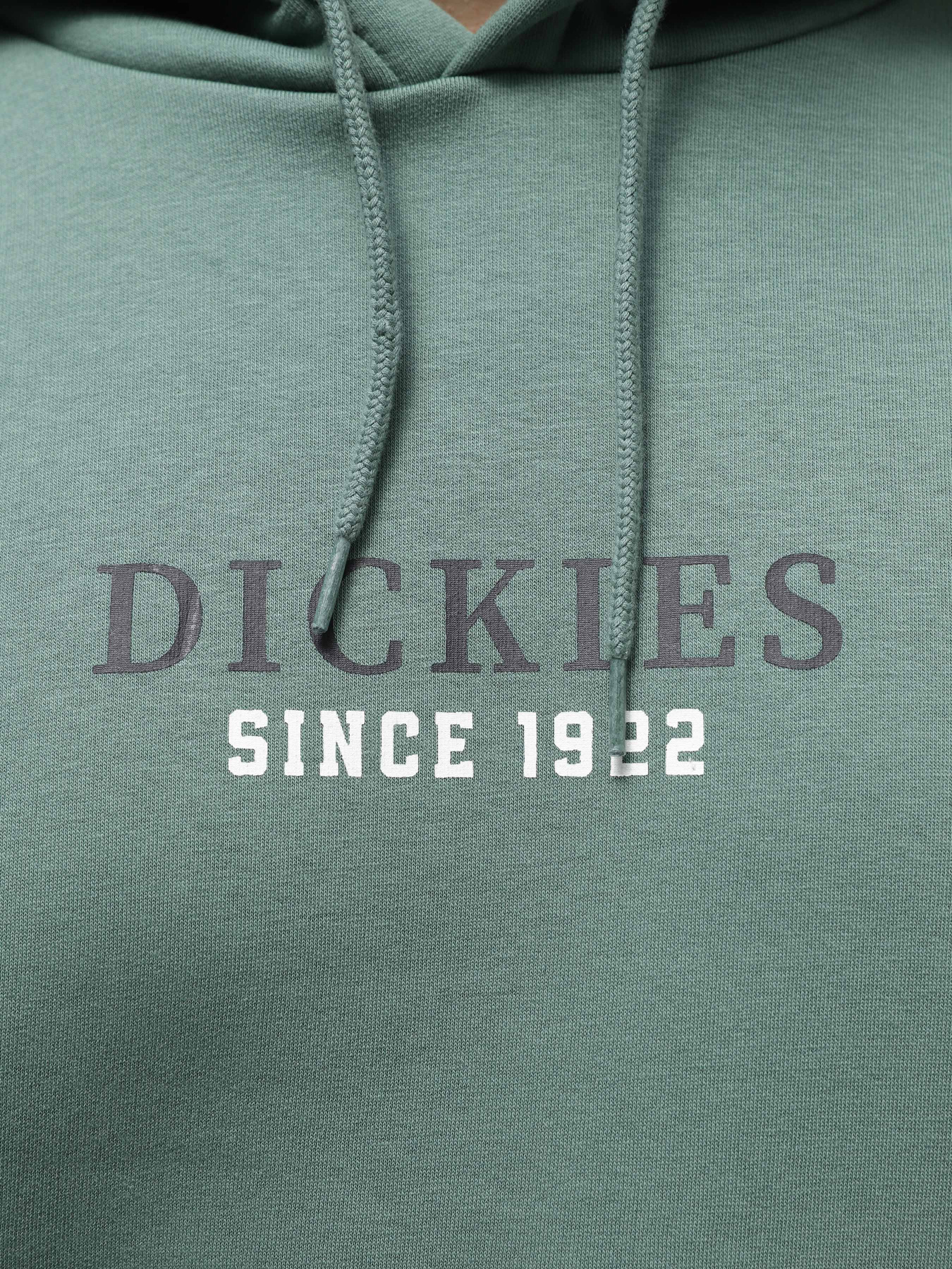 Худи и свитшоты Dickies Park модель DK0A4YEHH151 Фото