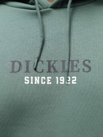 Худи и свитшоты Dickies Park модель DK0A4YEHH151 Фото