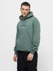 Худи и свитшоты Dickies Park модель DK0A4YEHH151 Фото