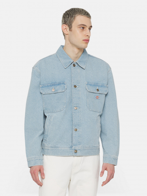 Куртки та дублянки Dickies Madison модель DK0A4YERC151 Фото