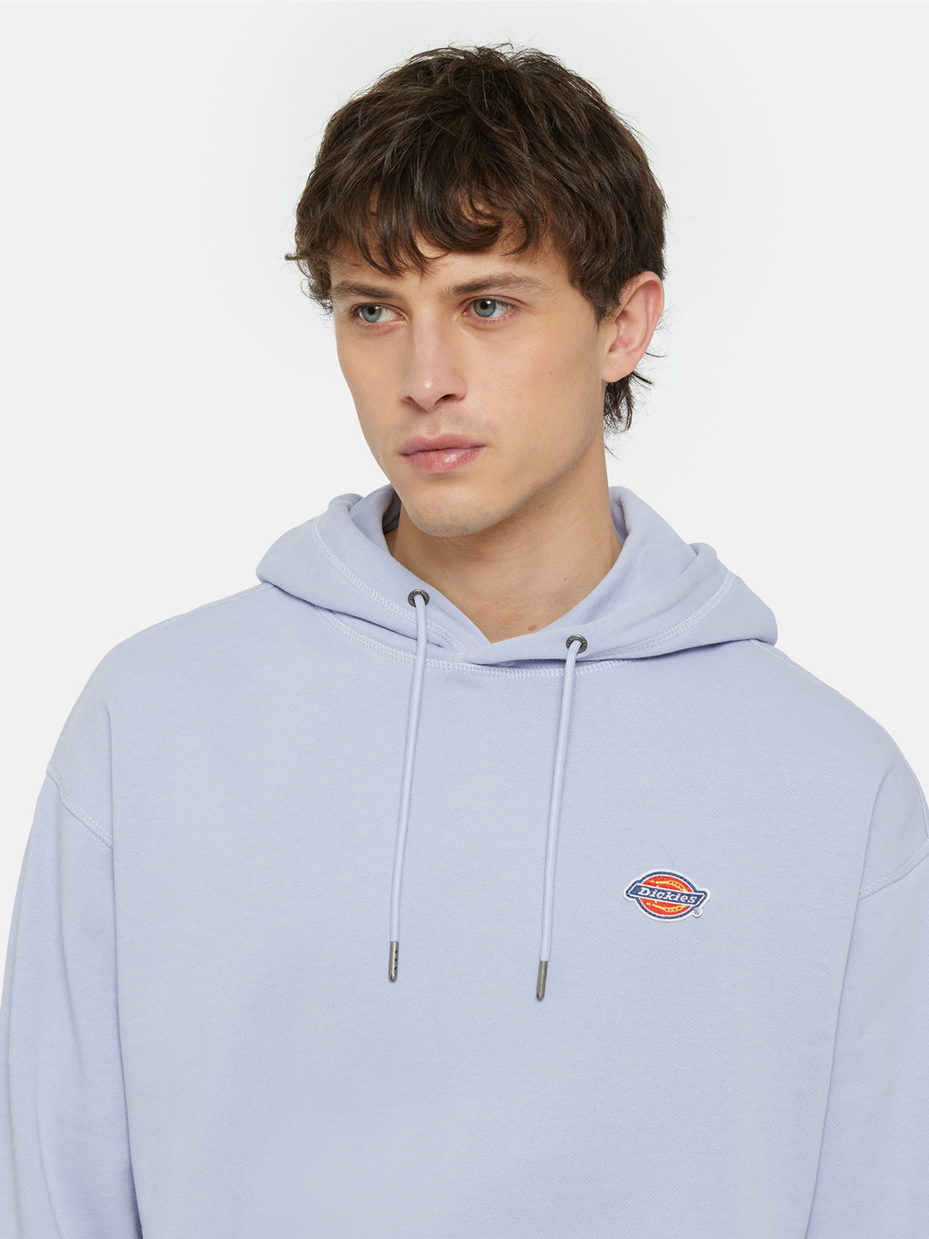Худі та світшоти Dickies Millersburg модель DK0A4YLYH181 Худі та світшоти Dickies Millersburg модель DK0A4YLYH181 Фото