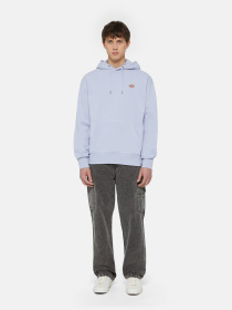 Худі та світшоти Dickies Millersburg модель DK0A4YLYH181 Фото