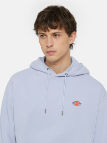 Худі та світшоти Dickies Millersburg модель DK0A4YLYH181 Фото