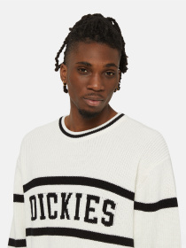 Светри та кардигани Dickies Melvern Seater модель DK0A4YMCC581 Фото
