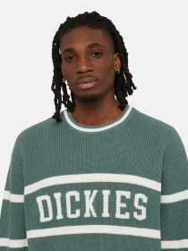 Свитры и кардиганы Dickies Melvern Seater модель DK0A4YMCH151 Фото