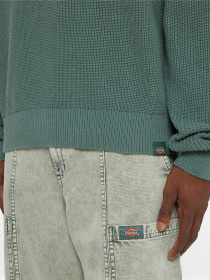 Свитры и кардиганы Dickies Melvern Seater модель DK0A4YMCH151 Фото