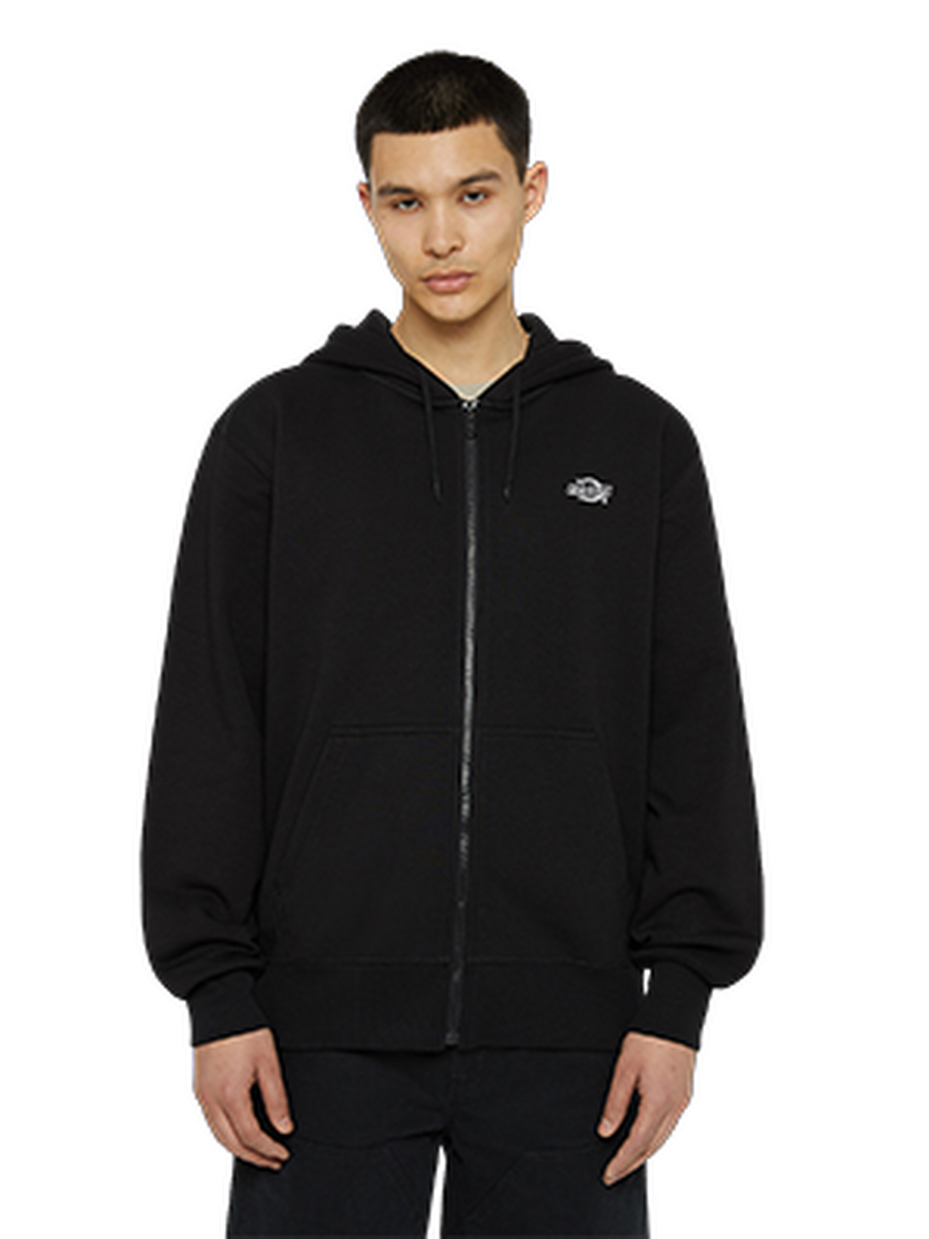 Худі та світшоти Dickies Summerdale Zip Through модель DK0A4YQABLK1 Худі та світшоти Dickies Summerdale Zip Through модель DK0A4YQABLK1 Фото