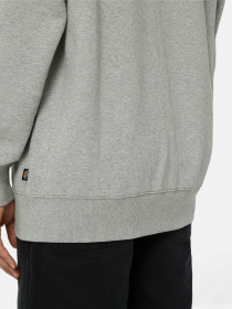 Худі та світшоти Dickies Summerdale Zip Through модель DK0A4YQAGYM1 Фото