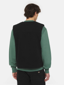 Куртки та дублянки Dickies Duck Canvas Smmr модель DK0A4YQKC401 Фото