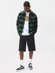 Рубашки Dickies New Sacramento модель DK0A4XDZPG01 Фото