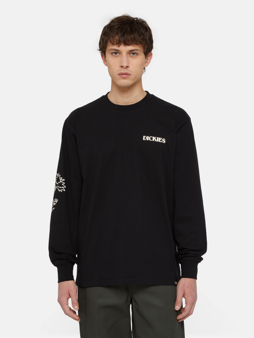 Худи и свитшоты Dickies Timberville  Ls модель DK0A4YRBBLK1 Фото