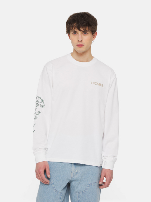 Худи и свитшоты Dickies Timberville  Ls модель DK0A4YRBWHX1 Фото