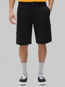 Шорты Dickies Millerville модель DK0A4XEDBLK1 Фото