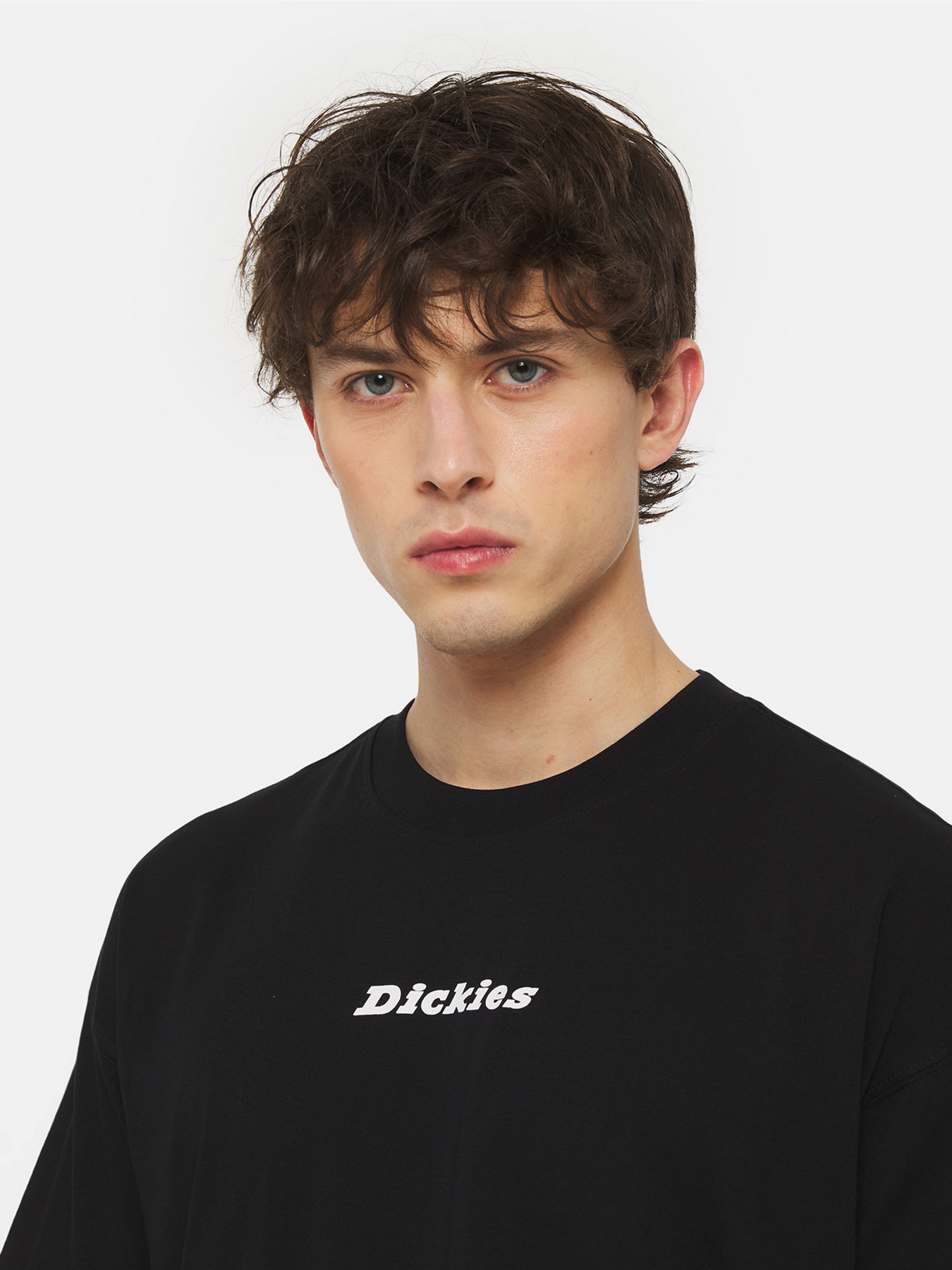 Футболки и поло Dickies Enterprise  Ss модель DK0A4YRNBLK1 Фото