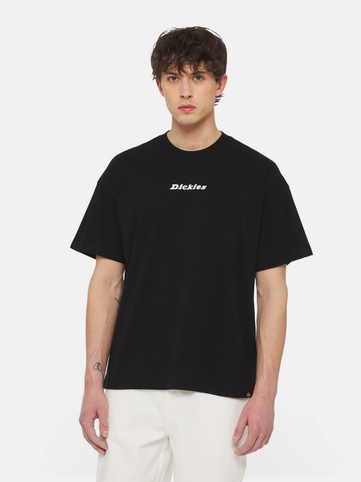 Футболки и поло Dickies Enterprise  Ss модель DK0A4YRNBLK1 Фото