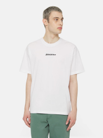 Футболки и поло Dickies Enterprise  Ss модель DK0A4YRNWHX1 Фото
