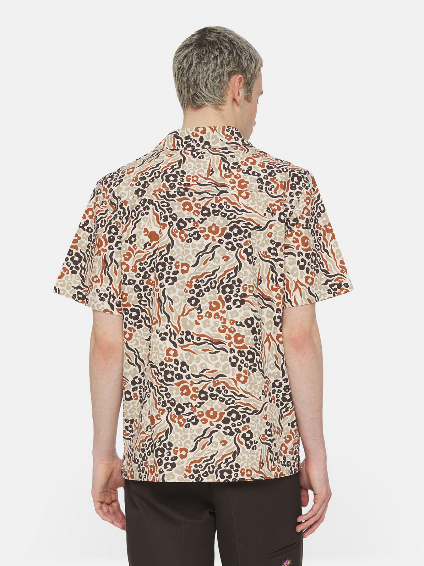 Рубашки Dickies Sleeve Saltville модель DK0A4YS3H971 Фото