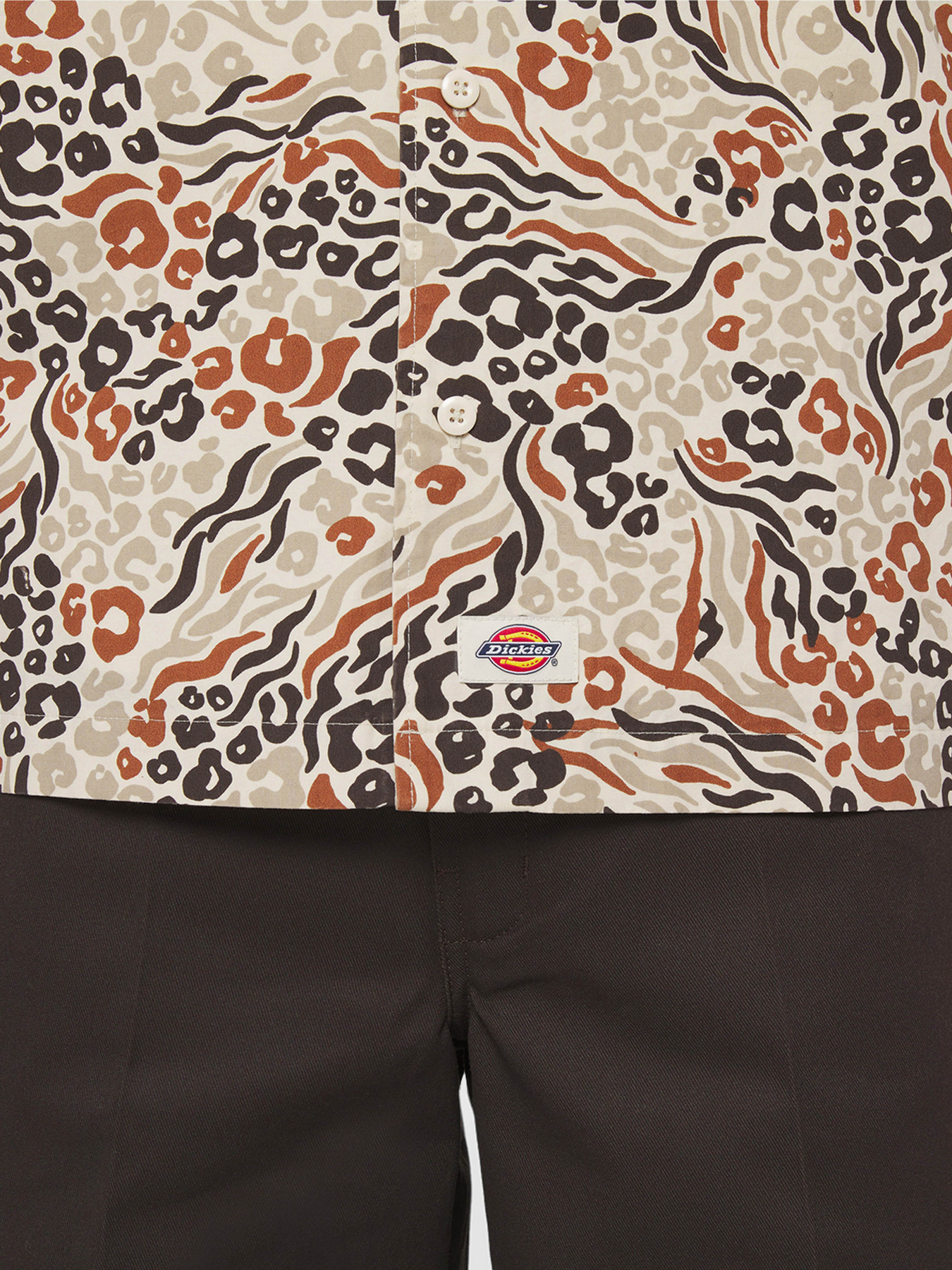 Рубашки Dickies Sleeve Saltville модель DK0A4YS3H971 Фото
