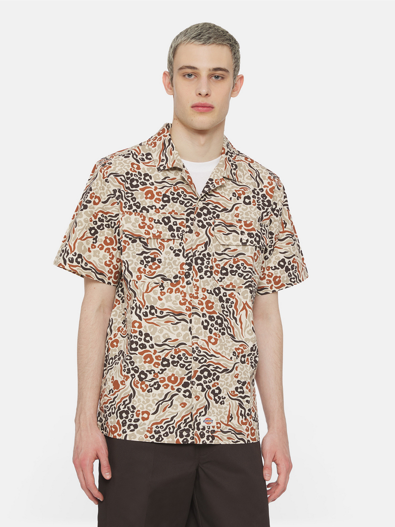 Рубашки Dickies Sleeve Saltville модель DK0A4YS3H971 Фото