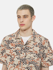 Рубашки Dickies Sleeve Saltville модель DK0A4YS3H971 Фото