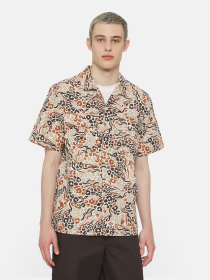 Сорочки Dickies Sleeve Saltville модель DK0A4YS3H971 Фото