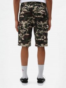 Шорти Dickies Millerville модель DK0A4XEDCF01 Фото