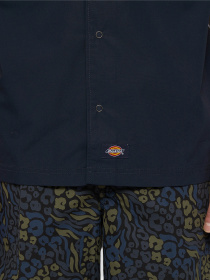Сорочки Dickies Fishersville модель DK0A4YS6DNX1 Фото