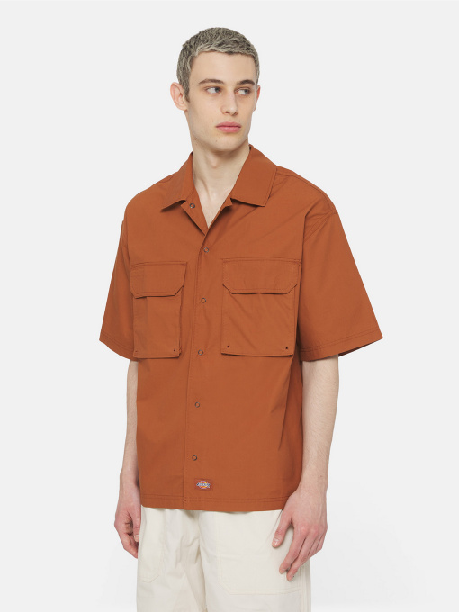 Рубашки Dickies Fishersville модель DK0A4YS6H161 Фото