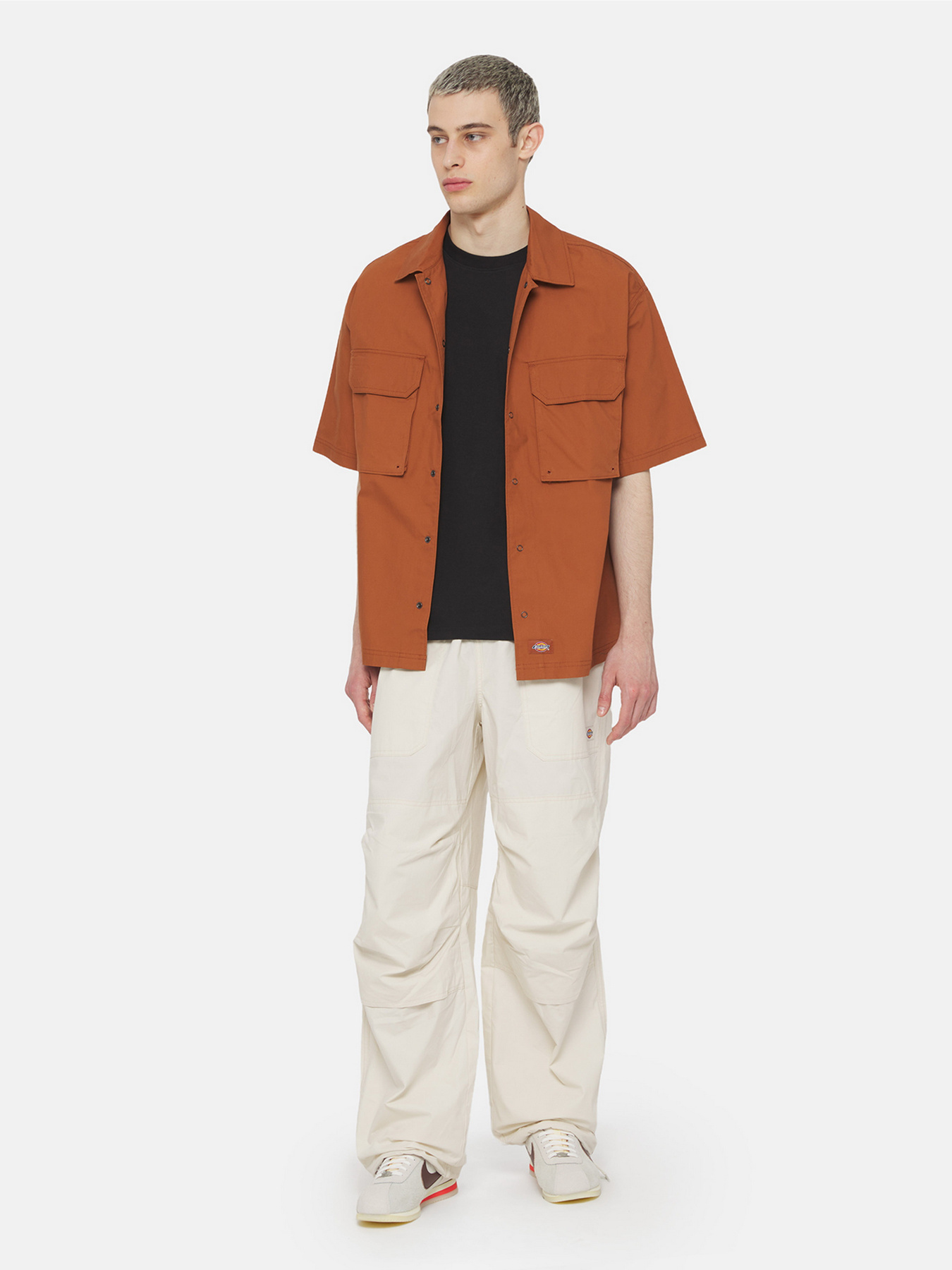 Брюки Dickies Fishersville модель DK0A4YSDF901 Фото