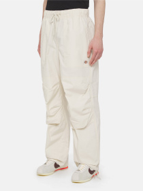 Брюки Dickies Fishersville модель DK0A4YSDF901 Фото