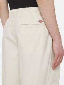Брюки Dickies Fishersville модель DK0A4YSDF901 Фото