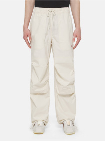 Штани Dickies Fishersville модель DK0A4YSDF901 Фото