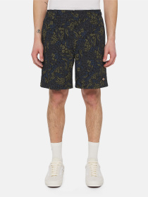 Шорти Dickies Saltville модель DK0A4YSHJ461 Фото