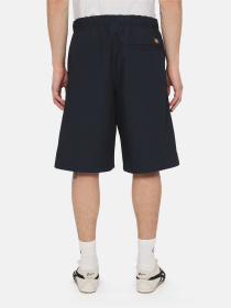 Шорти Dickies Fishersville Cargo модель DK0A4YSIDNX1 Фото