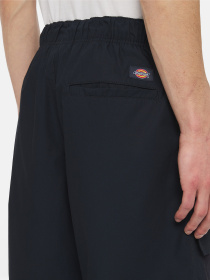 Шорти Dickies Fishersville Cargo модель DK0A4YSIDNX1 Фото