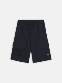 Шорти Dickies Fishersville Cargo модель DK0A4YSIDNX1 Фото