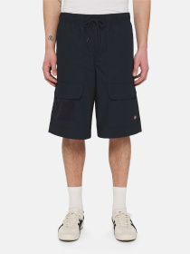 Шорти Dickies Fishersville Cargo модель DK0A4YSIDNX1 Фото