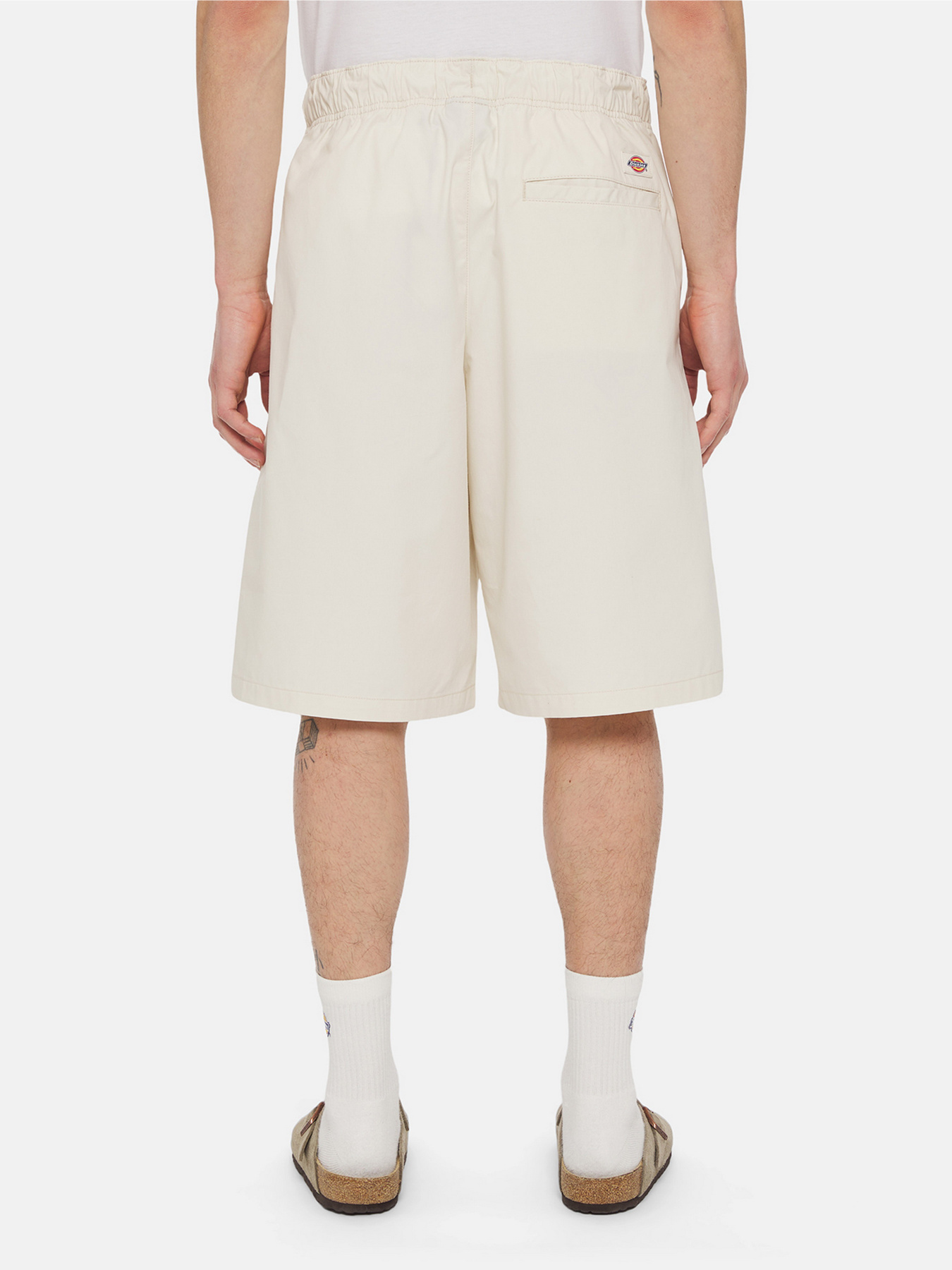 Шорти Dickies Fishersville Cargo модель DK0A4YSIF901 Шорти Dickies Fishersville Cargo модель DK0A4YSIF901 Фото