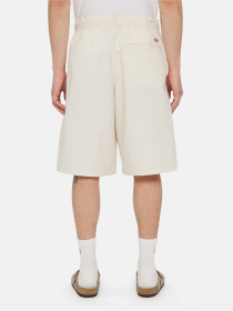 Шорти Dickies Fishersville Cargo модель DK0A4YSIF901 Фото
